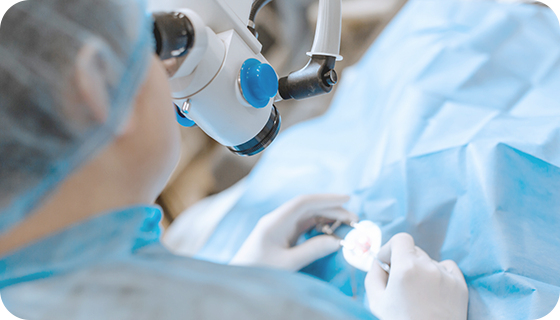 様々な日帰り手術に対応