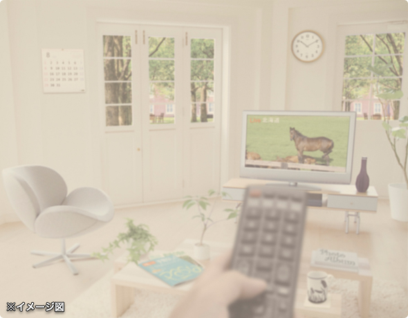 視界が白く濁る症状について