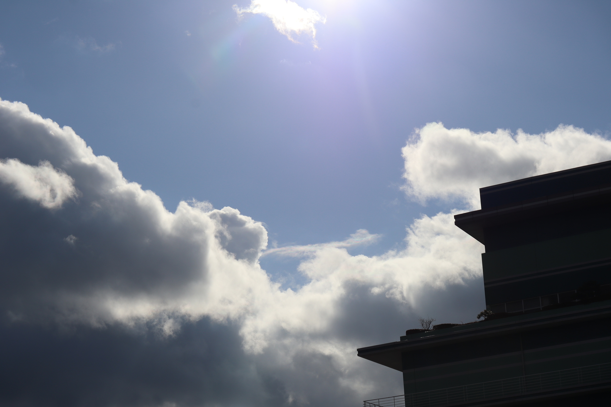 視界が暗くなる症状について